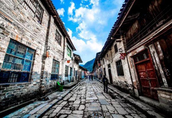 宜宾翠屏：茶园冬季管护忙 茶企新发展激发产业新动能
